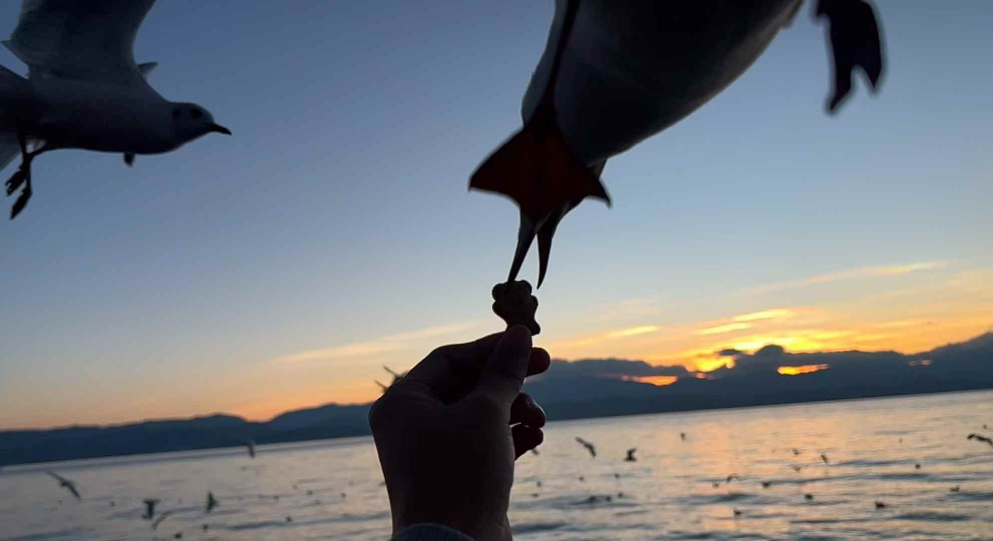 滇川藏线·七日漫行